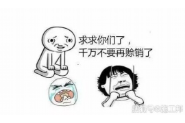 陆丰工资清欠服务